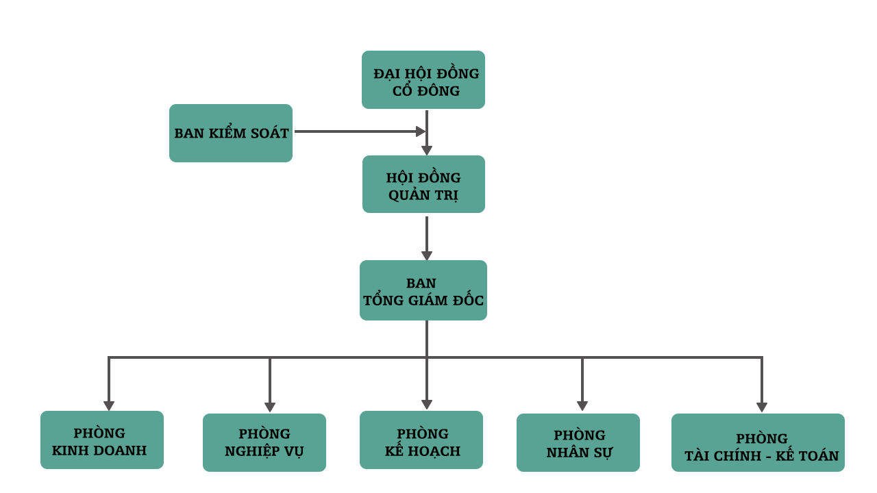SƠ ĐỒ TỔ CHỨC